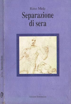 Bild des Verkufers fr Separazione di sera zum Verkauf von Biblioteca di Babele