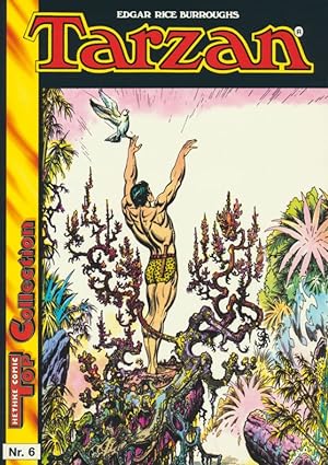 Tarzan. Top Collection Nr. 6, Hethke Comic.
