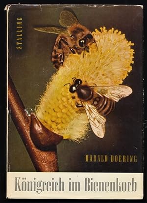 Königreich im Bienenkorb.