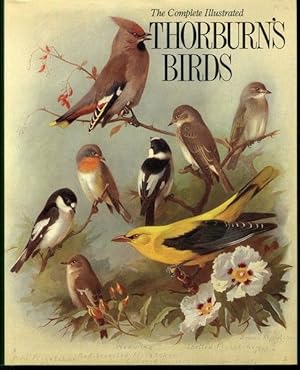 Complete Illustrated Thorburn's Birds