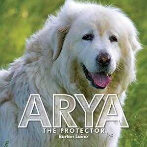 Seller image for Arya (Paperback or Softback) for sale by BargainBookStores