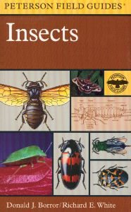 Seller image for Field Guide to Insects : America North of Mexico for sale by GreatBookPrices