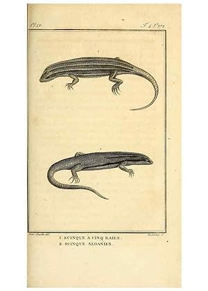 Seller image for Reproduccin/Reproduction 49813393703: Histoire naturelle, gnrale et particulire, des reptiles. A Paris :De lImprimerie de F. Dufart,an X-XI [1802-1803]. for sale by EL BOLETIN