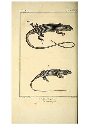 Seller image for Reproduccin/Reproduction 49813312198: Histoire naturelle, gnrale et particulire, des reptiles. A Paris :De lImprimerie de F. Dufart,an X-XI [1802-1803]. for sale by EL BOLETIN