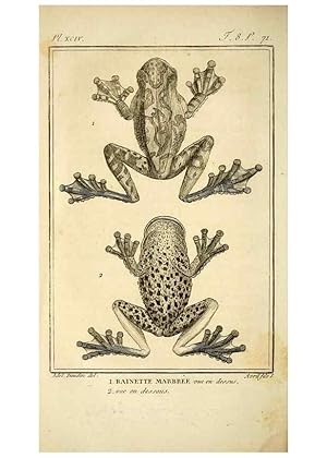 Seller image for Reproduccin/Reproduction 49814238691: Histoire naturelle, gnrale et particulire, des reptiles. A Paris :De lImprimerie de F. Dufart,an X-XI [1802-1803]. for sale by EL BOLETIN