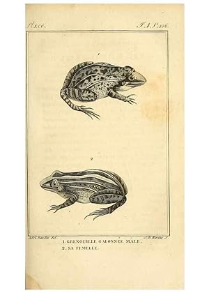 Seller image for Reproduccin/Reproduction 49813701383: Histoire naturelle, gnrale et particulire, des reptiles. A Paris :De lImprimerie de F. Dufart,an X-XI [1802-1803]. for sale by EL BOLETIN