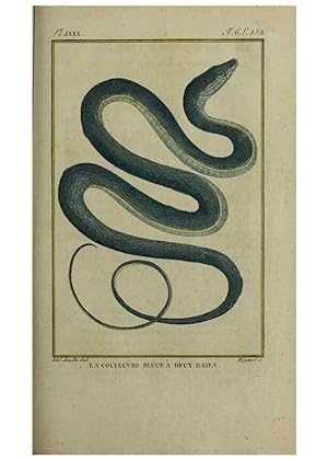 Seller image for Reproduccin/Reproduction 49813716876: Histoire naturelle, gnrale et particulire, des reptiles :. A Paris :De lImprimerie de F. Dufart,an X-XI [1802-1803]. for sale by EL BOLETIN