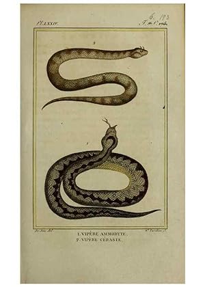 Seller image for Reproduccin/Reproduction 49813714551: Histoire naturelle, gnrale et particulire, des reptiles :. A Paris :De lImprimerie de F. Dufart,an X-XI [1802-1803]. for sale by EL BOLETIN