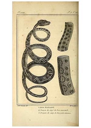 Seller image for Reproduccin/Reproduction 49814489197: Histoire naturelle, gnrale et particulire, des reptiles. A Paris :De lImprimerie de F. Dufart,an X-XI [1802-1803]. for sale by EL BOLETIN