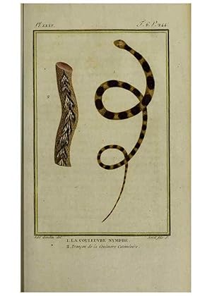 Seller image for Reproduccin/Reproduction 49813714896: Histoire naturelle, gnrale et particulire, des reptiles :. A Paris :De lImprimerie de F. Dufart,an X-XI [1802-1803]. for sale by EL BOLETIN