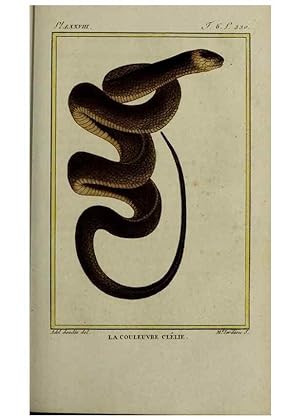 Seller image for Reproduccin/Reproduction 49814025342: Histoire naturelle, gnrale et particulire, des reptiles :. A Paris :De lImprimerie de F. Dufart,an X-XI [1802-1803]. for sale by EL BOLETIN