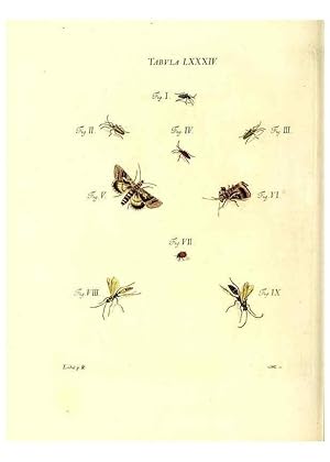 Immagine del venditore per Reproduccin/Reproduction 49810608177: Iacobi Christiani Schaefferi s.s. theologiae et philosophiae doctoris . Icones insectorum circa Ratisbonam indigenorum :. Ratisbonae :Typis Breitfeldianis,MDCCLXXIX [1766-1779]. venduto da EL BOLETIN