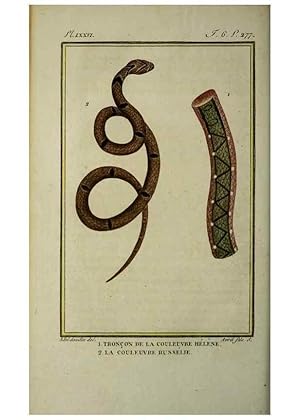 Seller image for Reproduccin/Reproduction 49813176438: Histoire naturelle, gnrale et particulire, des reptiles :. A Paris :De lImprimerie de F. Dufart,an X-XI [1802-1803]. for sale by EL BOLETIN