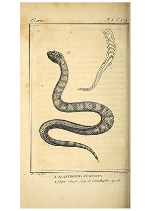 Seller image for Reproduccin/Reproduction 49813643093: Histoire naturelle, gnrale et particulire, des reptiles. A Paris :De lImprimerie de F. Dufart,an X-XI [1802-1803]. for sale by EL BOLETIN