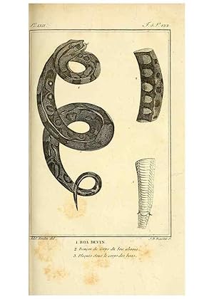 Seller image for Reproduccin/Reproduction 49813640723: Histoire naturelle, gnrale et particulire, des reptiles. A Paris :De lImprimerie de F. Dufart,an X-XI [1802-1803]. for sale by EL BOLETIN