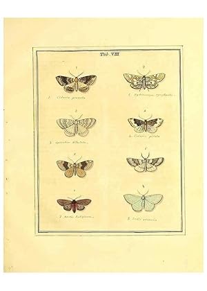 Bild des Verkufers fr Reproduccin/Reproduction 49807417677: An exposition of English insects. London :Printed for the author and sold by Messrs. Robson and Co. . and Messrs. Dilly .,1776. zum Verkauf von EL BOLETIN