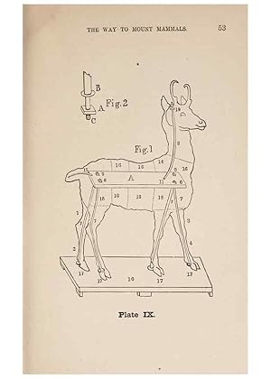 Seller image for Reproduccin/Reproduction 49786006531: The naturalists guide in collecting and preserving objects of natural history,. Boston,Fields, Osgood & co.,1870. for sale by EL BOLETIN