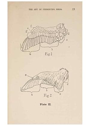 Seller image for Reproduccin/Reproduction 49786004136: The naturalists guide in collecting and preserving objects of natural history,. Boston,Fields, Osgood & co.,1870. for sale by EL BOLETIN