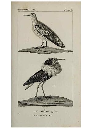 Seller image for Reproduccin/Reproduction 49826398406: Trait dornithologie, ou, Tableau mthodique des ordres, sous-ordres, familles, tribus, genres, sous-genres et races doiseaux :. Bruxelles :Chez F.G. Levrault ;1831. for sale by EL BOLETIN