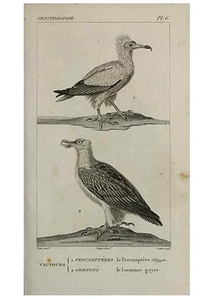 Seller image for Reproduccin/Reproduction 49826359766: Trait dornithologie, ou, Tableau mthodique des ordres, sous-ordres, familles, tribus, genres, sous-genres et races doiseaux :. Bruxelles :Chez F.G. Levrault ;1831. for sale by EL BOLETIN