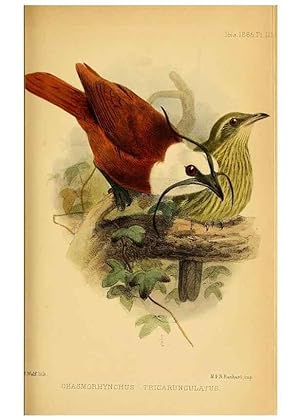 Immagine del venditore per Reproduccin/Reproduction 49694522848: Ibis. [London]Published for the British Ornithologists Union by Academic Press. venduto da EL BOLETIN