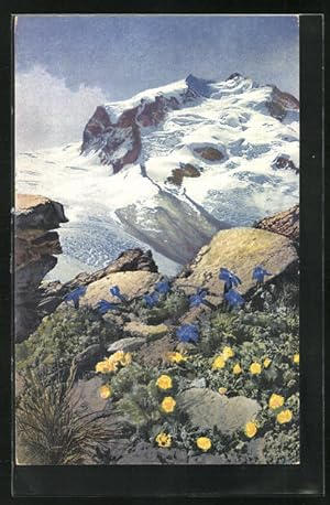 Bild des Verkufers fr Knstler-Ansichtskarte Photochromie Nr. 1195: Gentiana brachyphylla, Potentilla frigida zum Verkauf von Bartko-Reher