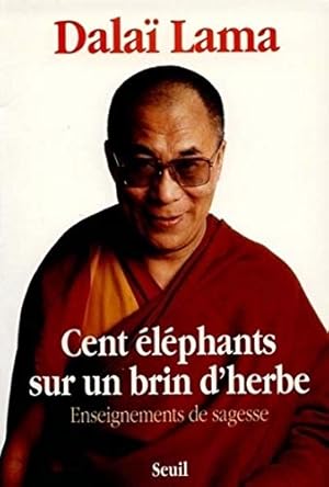 Cent éléphants sur un brin d'herbe. enseignements de sagesse