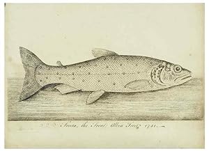 Imagen del vendedor de Reproduccin/Reproduction 49680895057: The history of esculent fish. London :Printed for Edward Jeffery ., Robert Faulder ., J. Cuthell, and J. Deighton . J. Walker ., Hamilton and Co.,1794. a la venta por EL BOLETIN