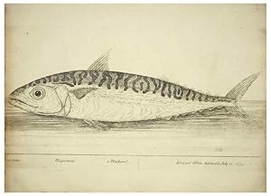 Imagen del vendedor de Reproduccin/Reproduction 49680070058: The history of esculent fish. London :Printed for Edward Jeffery ., Robert Faulder ., J. Cuthell, and J. Deighton . J. Walker ., Hamilton and Co.,1794. a la venta por EL BOLETIN