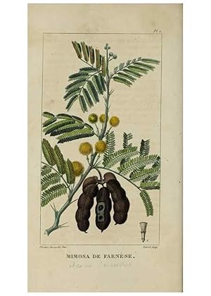 Image du vendeur pour Reproduccin/Reproduction 49743489392: Flore pittoresque et me?dicale des Antilles, ou, Histoire naturelle des plantes usuelles des colonies franc?aises, anglaises, espagnoles, et portugaises /. Paris :Ches lEditeur,1833. mis en vente par EL BOLETIN