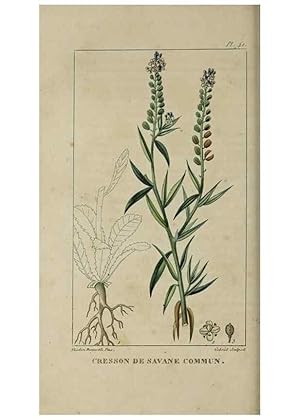 Image du vendeur pour Reproduccin/Reproduction 49742631313: Flore pittoresque et me?dicale des Antilles, ou, Histoire naturelle des plantes usuelles des colonies franc?aises, anglaises, espagnoles, et portugaises /. Paris :Ches lEditeur,1833. mis en vente par EL BOLETIN