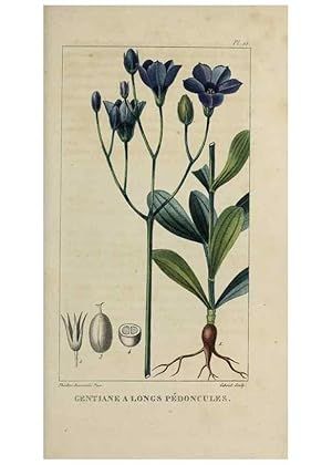 Image du vendeur pour Reproduccin/Reproduction 49742622768: Flore pittoresque et me?dicale des Antilles, ou, Histoire naturelle des plantes usuelles des colonies franc?aises, anglaises, espagnoles, et portugaises /. Paris :Ches lEditeur,1833. mis en vente par EL BOLETIN