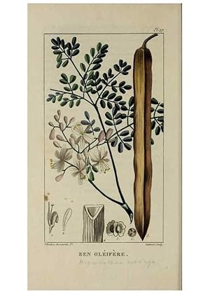 Seller image for Reproduccin/Reproduction 49743175491: Flore pittoresque et me?dicale des Antilles, ou, Histoire naturelle des plantes usuelles des colonies franc?aises, anglaises, espagnoles, et portugaises /. Paris :Ches lEditeur,1833. for sale by EL BOLETIN