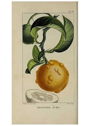 Image du vendeur pour Reproduccin/Reproduction 49743500997: Flore pittoresque et me?dicale des Antilles, ou, Histoire naturelle des plantes usuelles des colonies franc?aises, anglaises, espagnoles, et portugaises /. Paris :Ches lEditeur,1833. mis en vente par EL BOLETIN