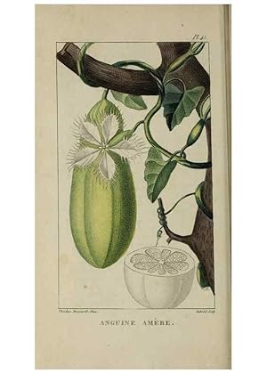 Image du vendeur pour Reproduccin/Reproduction 49743182001: Flore pittoresque et me?dicale des Antilles, ou, Histoire naturelle des plantes usuelles des colonies franc?aises, anglaises, espagnoles, et portugaises /. Paris :Ches lEditeur,1833. mis en vente par EL BOLETIN