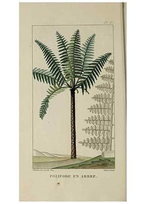 Image du vendeur pour Reproduccin/Reproduction 49743188211: Flore pittoresque et me?dicale des Antilles, ou, Histoire naturelle des plantes usuelles des colonies franc?aises, anglaises, espagnoles, et portugaises /. Paris :Ches lEditeur,1833. mis en vente par EL BOLETIN