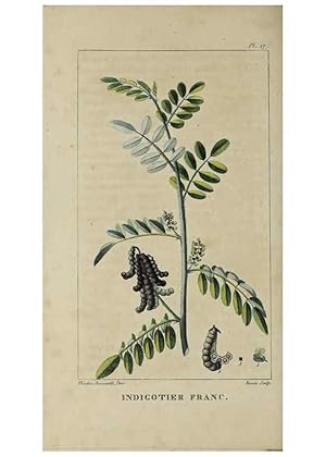 Image du vendeur pour Reproduccin/Reproduction 49742623303: Flore pittoresque et me?dicale des Antilles, ou, Histoire naturelle des plantes usuelles des colonies franc?aises, anglaises, espagnoles, et portugaises /. Paris :Ches lEditeur,1833. mis en vente par EL BOLETIN