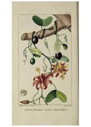 Image du vendeur pour Reproduccin/Reproduction 49743509367: Flore pittoresque et me?dicale des Antilles, ou, Histoire naturelle des plantes usuelles des colonies franc?aises, anglaises, espagnoles, et portugaises /. Paris :Ches lEditeur,1833. mis en vente par EL BOLETIN