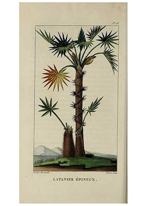 Seller image for Reproduccin/Reproduction 49743175786: Flore pittoresque et me?dicale des Antilles, ou, Histoire naturelle des plantes usuelles des colonies franc?aises, anglaises, espagnoles, et portugaises /. Paris :Ches lEditeur,1833. for sale by EL BOLETIN