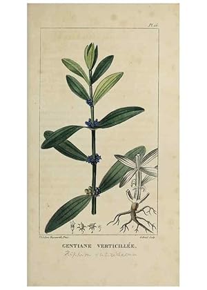 Image du vendeur pour Reproduccin/Reproduction 49742623073: Flore pittoresque et me?dicale des Antilles, ou, Histoire naturelle des plantes usuelles des colonies franc?aises, anglaises, espagnoles, et portugaises /. Paris :Ches lEditeur,1833. mis en vente par EL BOLETIN