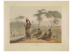 Seller image for Reproduccin/Reproduction 49753243516: [African scenery and animals]. London,1804-05. for sale by EL BOLETIN