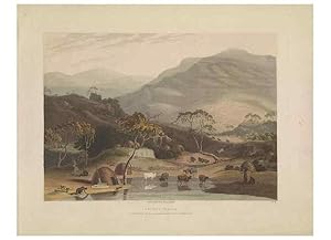 Seller image for Reproduccin/Reproduction 49752706768: [African scenery and animals]. London,1804-05. for sale by EL BOLETIN