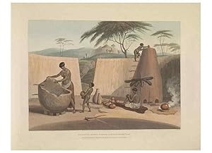 Seller image for Reproduccin/Reproduction 49752711518: [African scenery and animals]. London,1804-05. for sale by EL BOLETIN