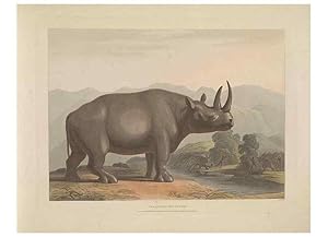 Seller image for Reproduccin/Reproduction 49752713058: [African scenery and animals]. London,1804-05. for sale by EL BOLETIN