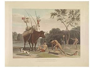 Seller image for Reproduccin/Reproduction 49753246331: [African scenery and animals]. London,1804-05. for sale by EL BOLETIN