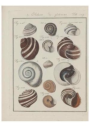 Imagen del vendedor de Reproduccin/Reproduction 49578560478: Abhandlung von den Land = und Fluschnecken, oder von solchen Conchylien, welche nicht im Meere sondern auf der Erde und in sssen Wassern zu leben pflegen /. Nrnberg :Raspe,1786. a la venta por EL BOLETIN