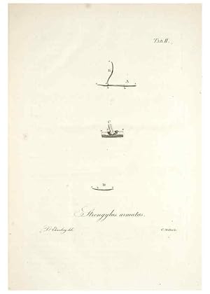 Bild des Verkufers fr Reproduccin/Reproduction 49578472068: Horae physicae Berolinenses :. Bonnae :Adolphi Marcus,1820. zum Verkauf von EL BOLETIN