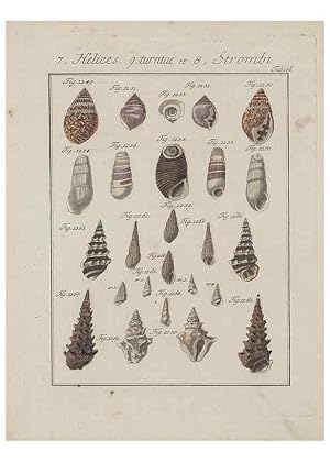 Imagen del vendedor de Reproduccin/Reproduction 49578562703: Abhandlung von den Land = und Fluschnecken, oder von solchen Conchylien, welche nicht im Meere sondern auf der Erde und in sssen Wassern zu leben pflegen /. Nrnberg :Raspe,1786. a la venta por EL BOLETIN