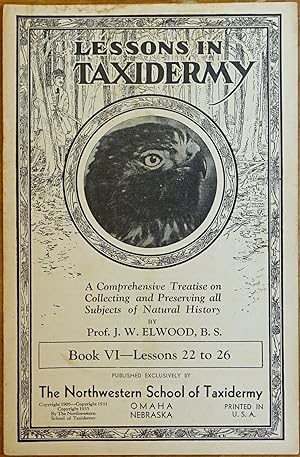 Imagen del vendedor de Lessons in Taxidermy: A Comprehensive Treatise on Collecting and Preserving All Subjects of Natural History - Book VI - Lessons 22 to 26 a la venta por Faith In Print