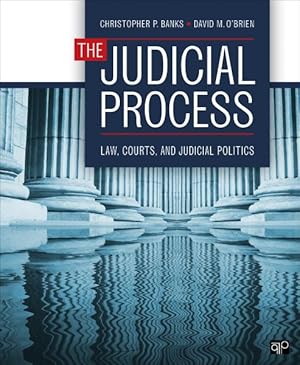 Image du vendeur pour Judicial Process : Law, Courts, and Judicial Politics mis en vente par GreatBookPricesUK